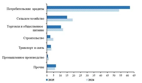 In Kyrgyzstan, about 62% of microloans issued in 2025 were directed towards consumer needs