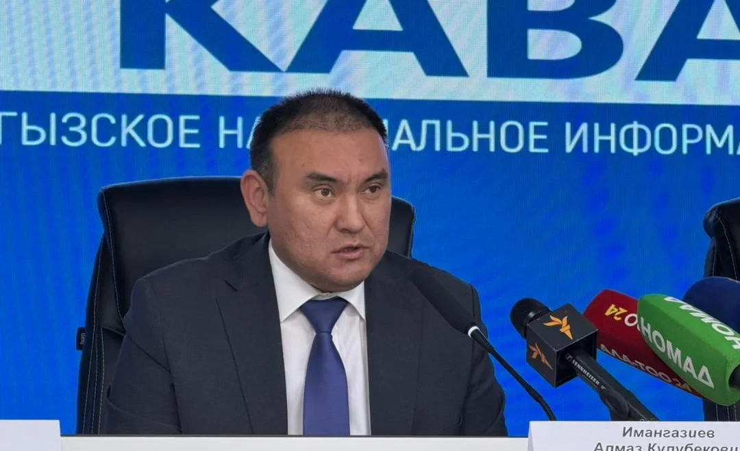 Кыргызские водительские удостоверения соответствуют международным требованиям - МИД