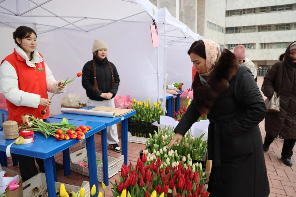 The Tulip Festival has kicked off in Kyrgyzstan