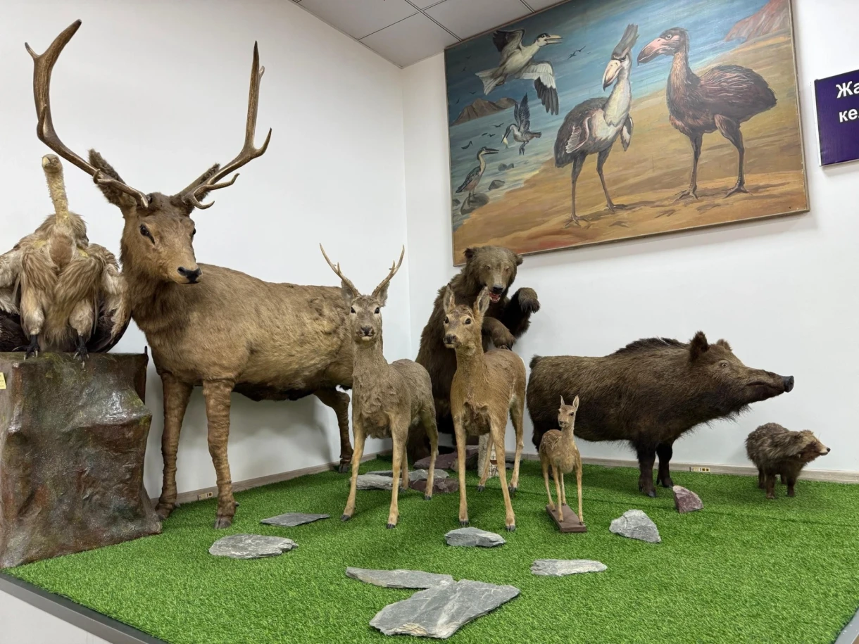 100th Anniversary: The Main Zoo Museum of Kyrgyzstan Needs a New Building