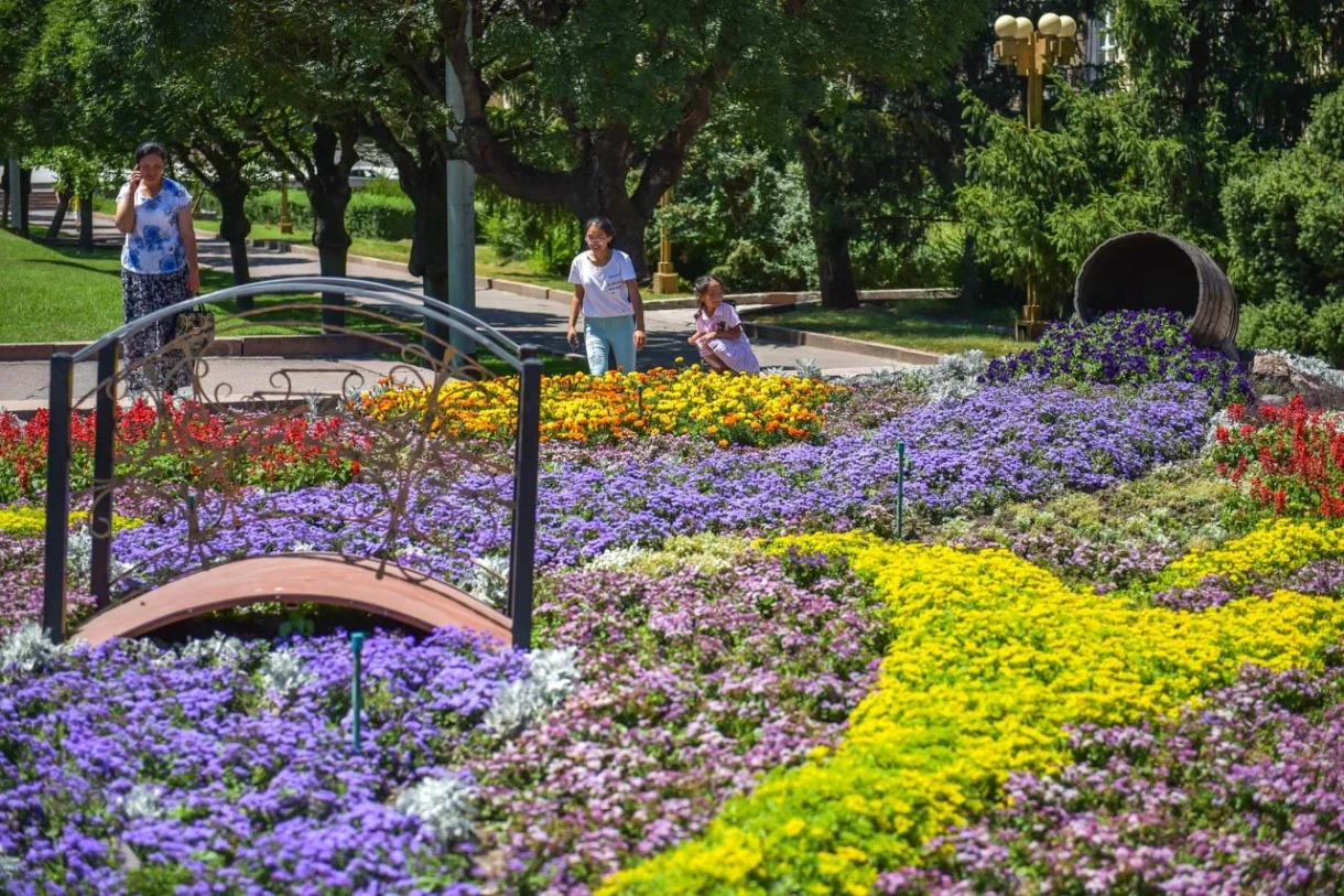 Bishkek will be decorated with about two million flowers in 2026