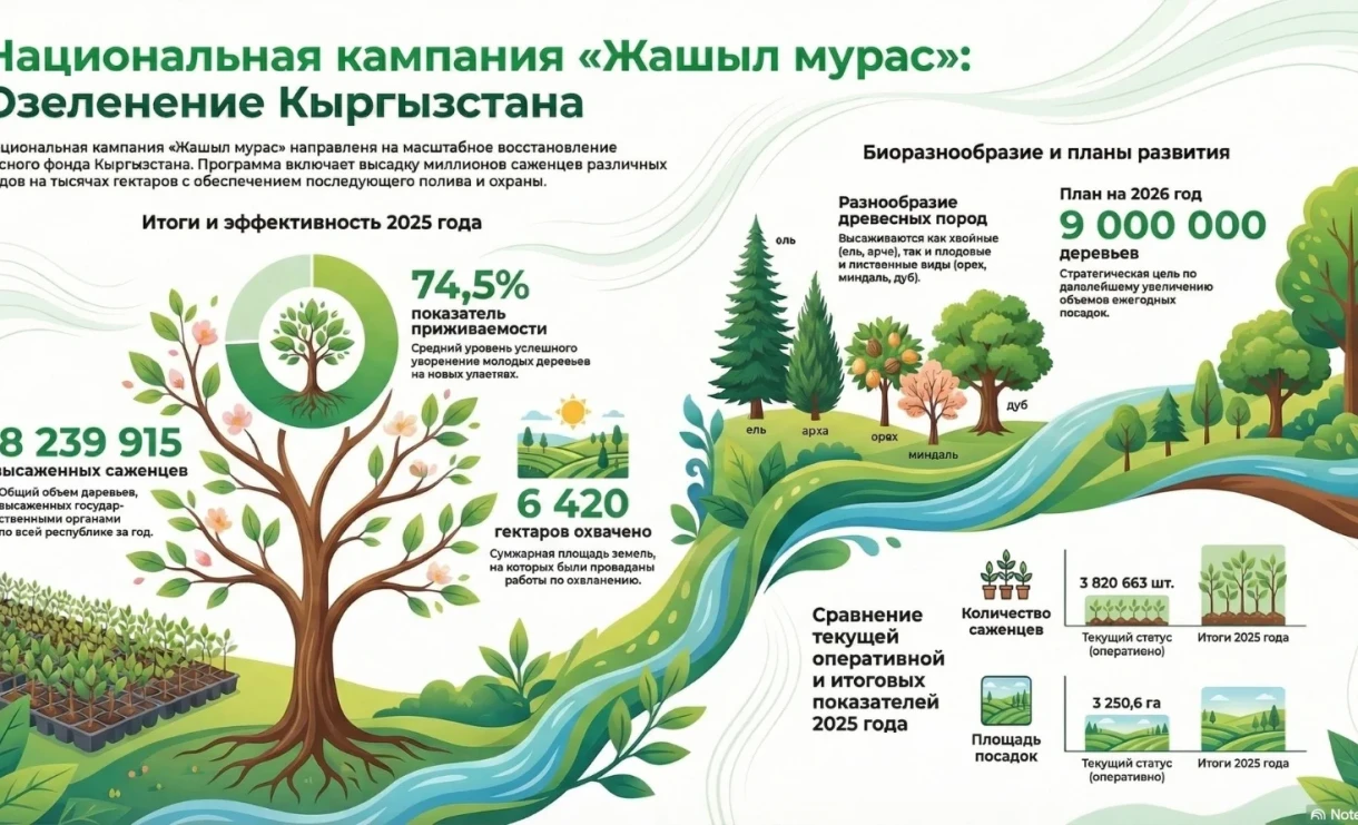 How many and what types of trees were planted in Kyrgyzstan in 2025