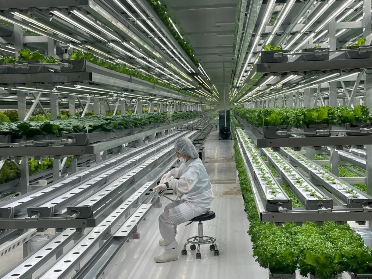 The Kyrgyz Delegation Studied the Experience of "Smart Farms" in the Republic of Korea