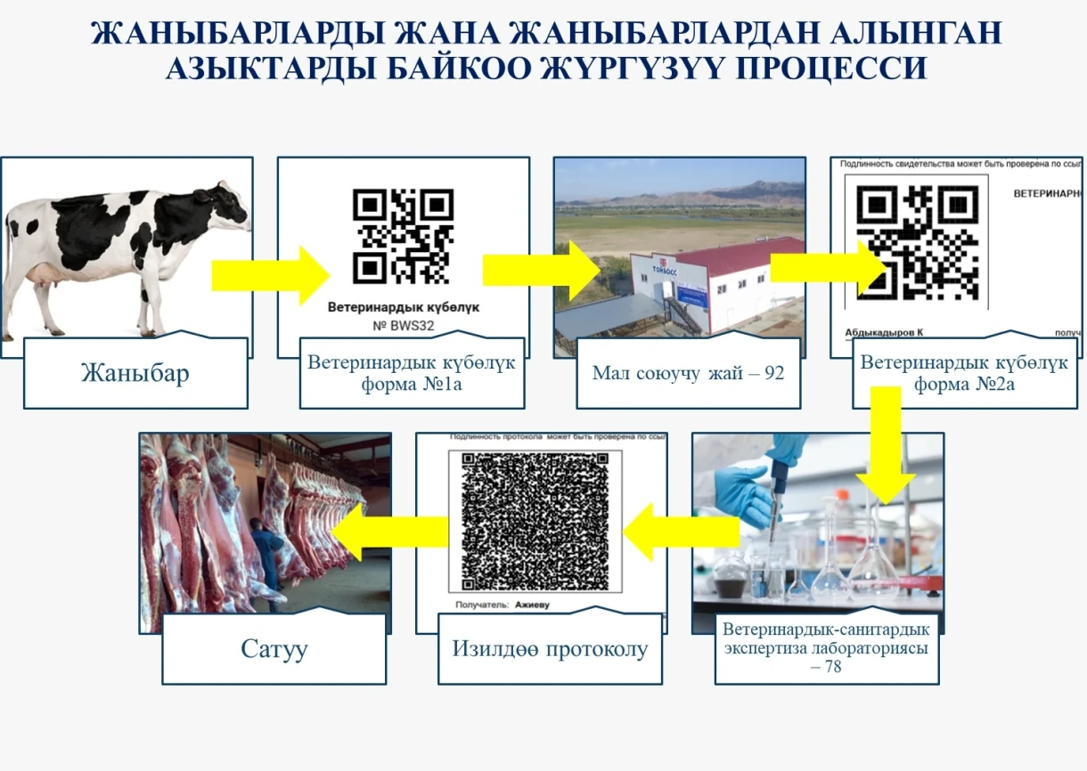 The Veterinary Service of Kyrgyzstan Guarantees Meat Safety in Markets