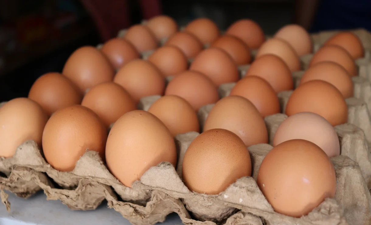 The Antimonopoly Service explained why egg prices have risen in Kyrgyzstan