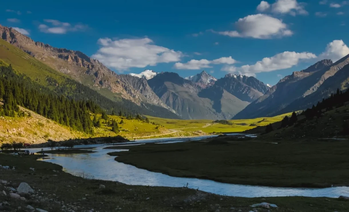The Ministry of Natural Resources explained how modern technologies are used to study the wild world.