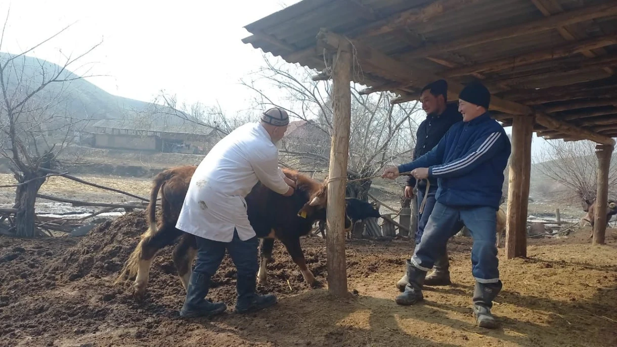 Spring preventive measures against animal diseases have begun