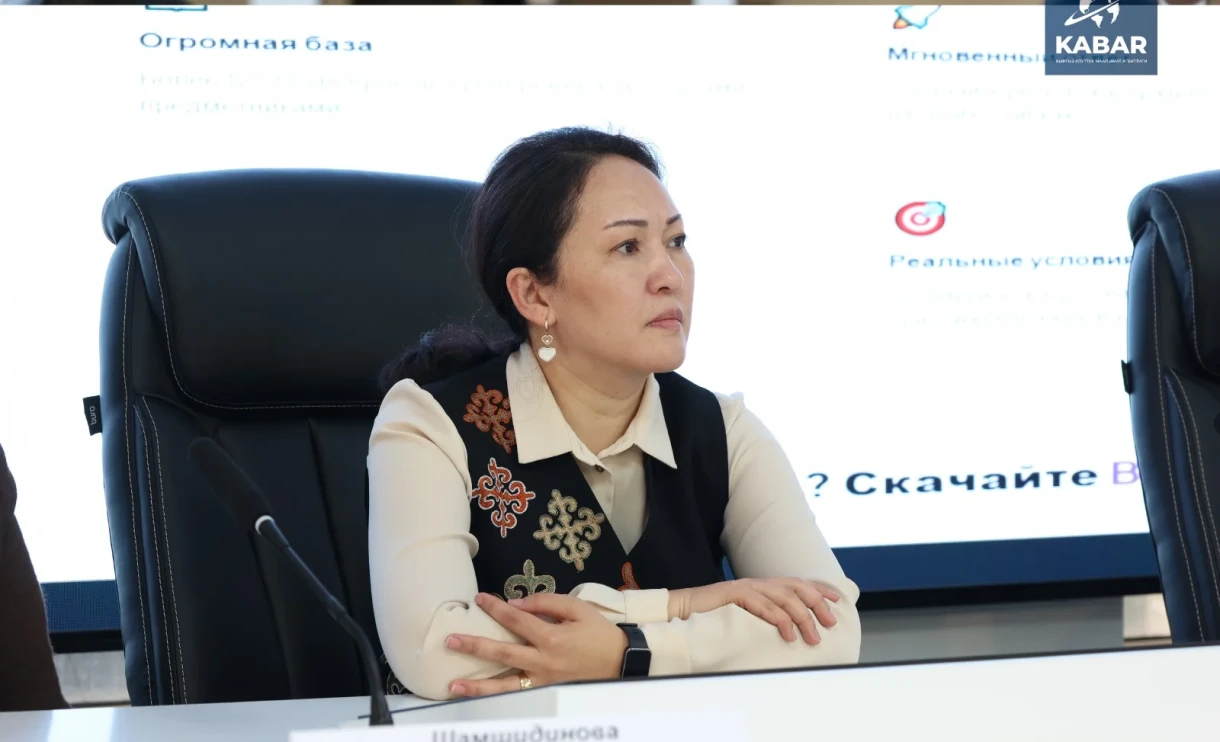 Электрондук жазуу мектептерге эки этапта өтөт