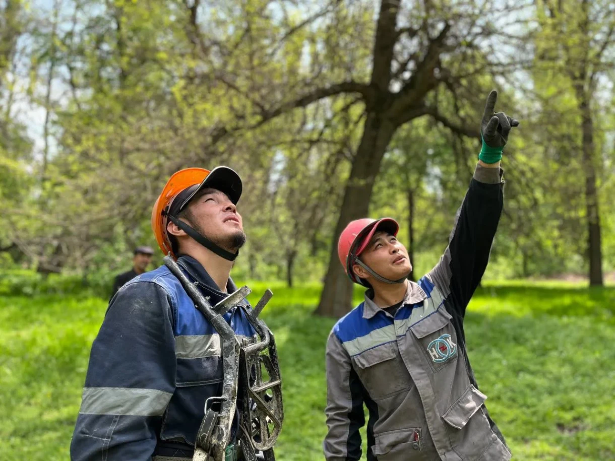 В Бишкеке обновят десятки километров электролиний