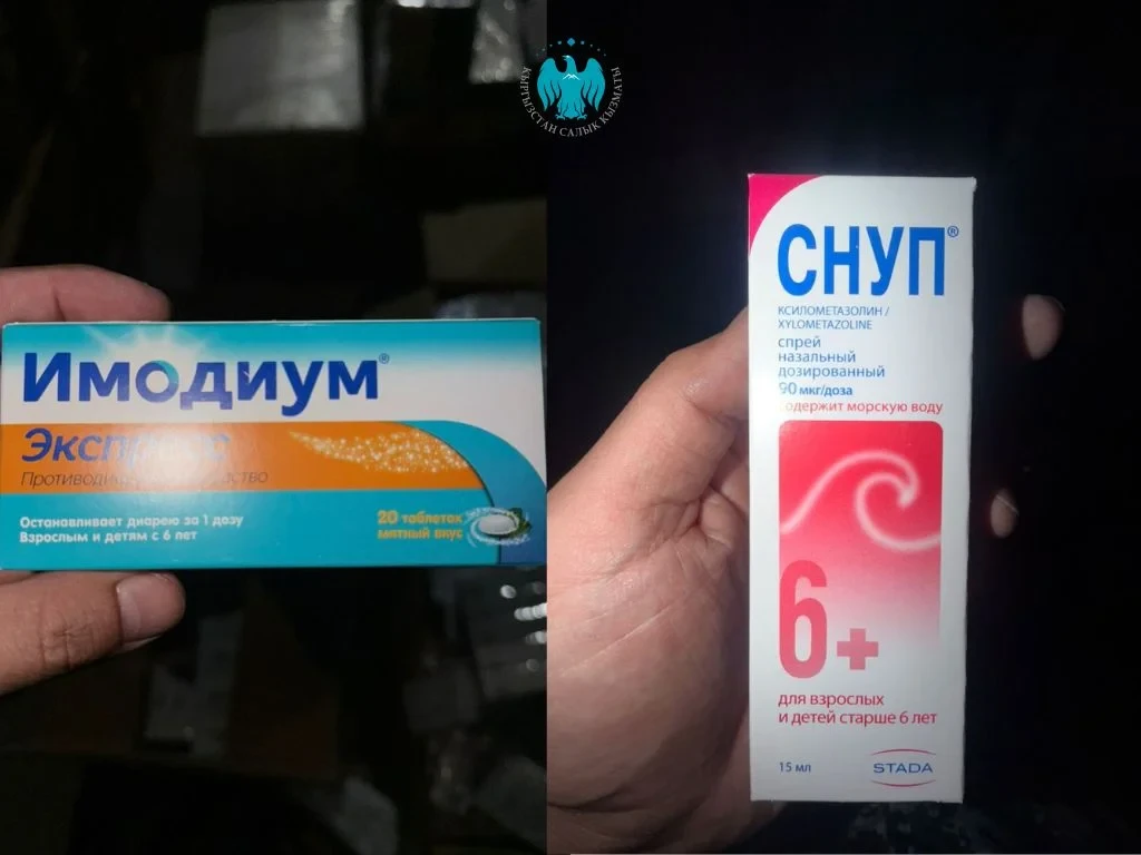 На КПП «Ак-Тилек» мыйзамсыз түрдө ири партия дары-дармектер жана азык-түлүктөрдүн киргизилиши токтотулду
