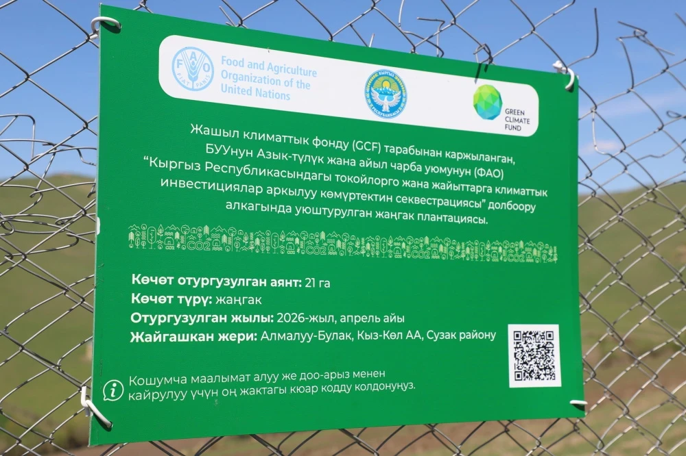 In Jalal-Abad Region, more than 500,000 trees will be planted