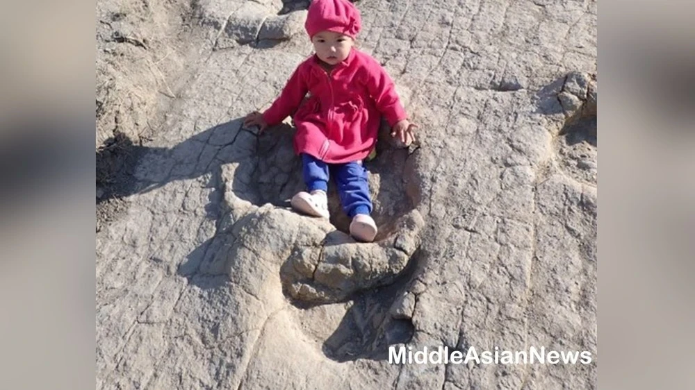 The dinosaur tracks discovered in the Töv aimak tell the story of ancient life