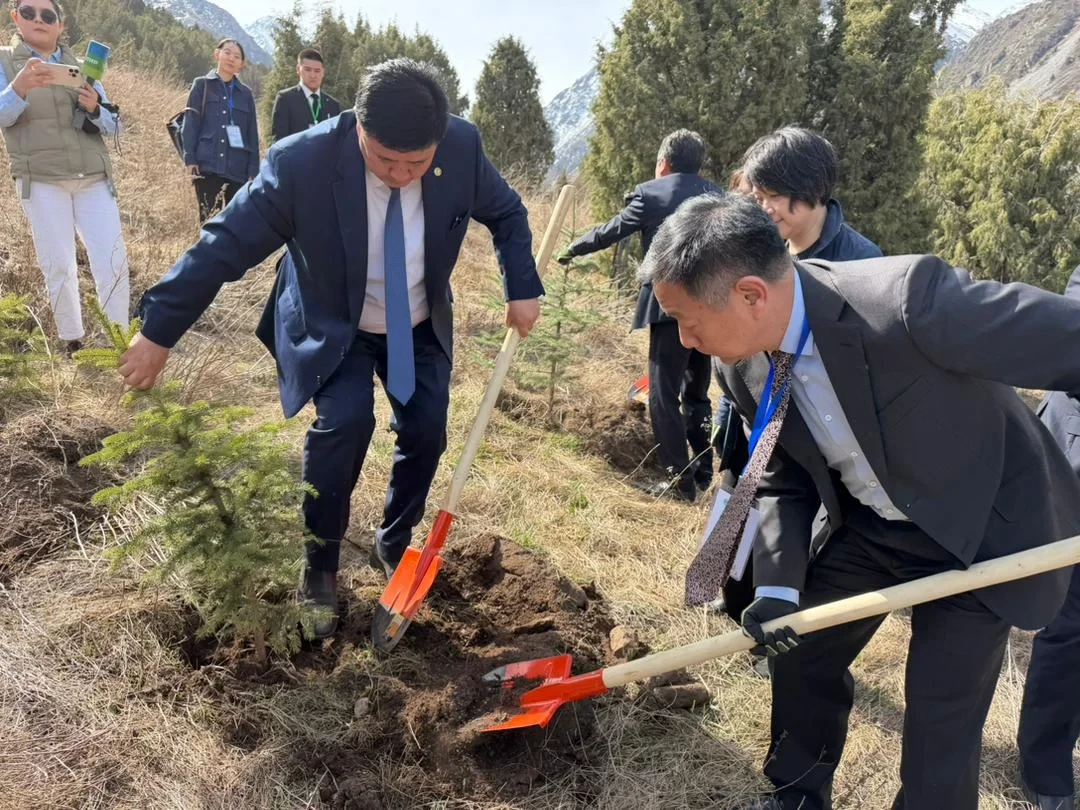 SCO Celebrates 25th Anniversary. Spruce Trees Were Planted at "Ala-Archa"