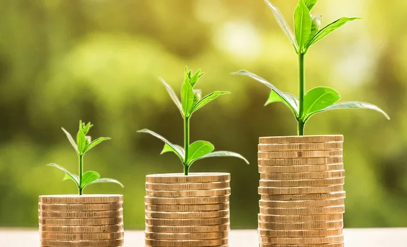 In the Talas Region, the targeted use of preferential agricultural loans was checked