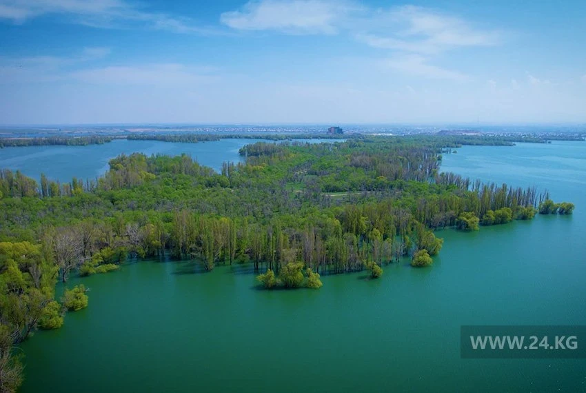 Flooded Forest near Bishkek: A Water Fairy Tale That Will Disappear in 1.5 Months