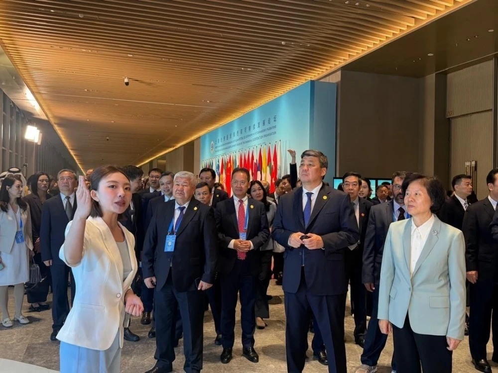 Chinese companies are interested in energy projects in Kyrgyzstan