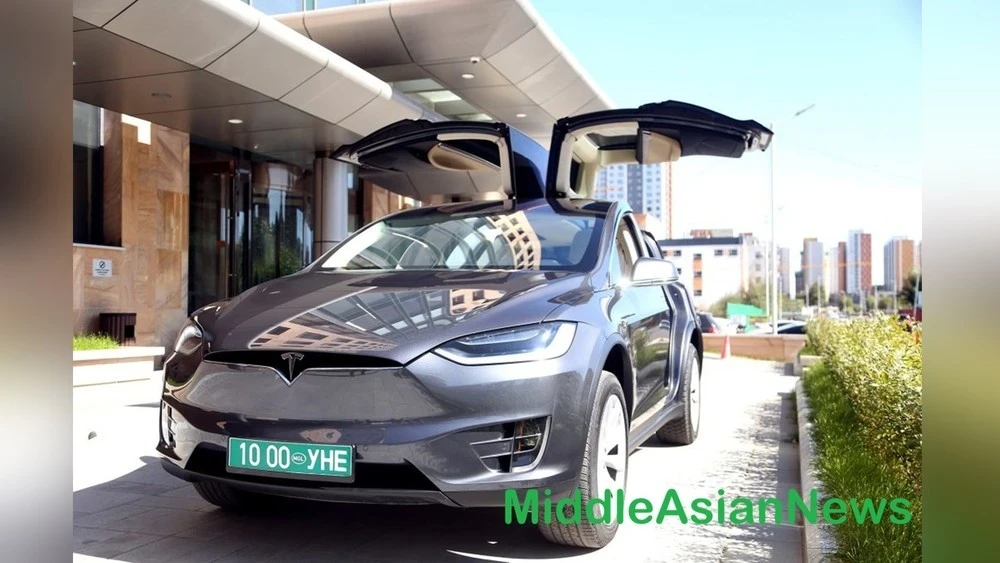 In Mongolia, Electric Cars Given the "Green Light"