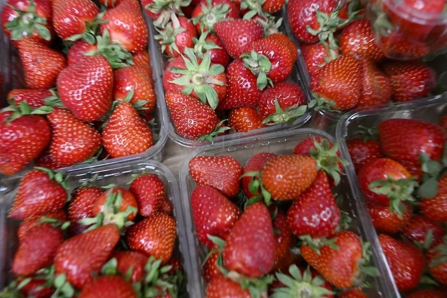 Kyrgyzstan Doubles Strawberry and Raspberry Supplies to Perm Krai, Russia