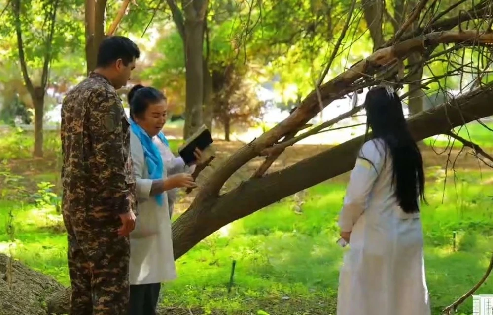 Large-scale tree health improvement works have begun in Tashkent